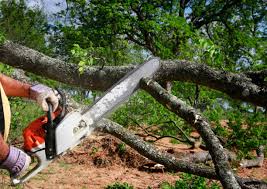 Best Seasonal Cleanup (Spring/Fall)  in Hanover, IN